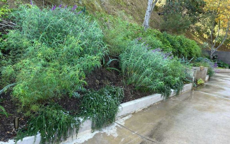 WhatsApp Image 2026-02-10 at 2.43.30 PM (5)