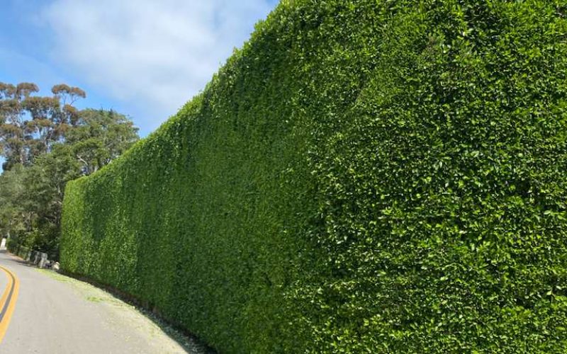 WhatsApp Image 2026-02-10 at 2.43.30 PM