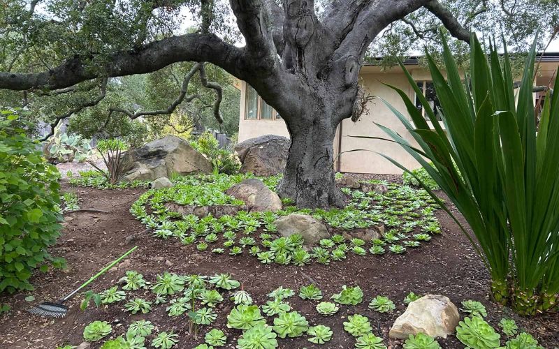 WhatsApp Image 2026-02-10 at 2.43.31 PM (1)