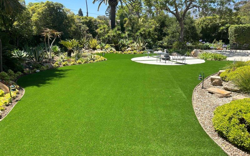 WhatsApp Image 2026-02-10 at 2.43.31 PM (3)