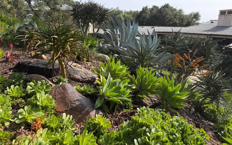 WhatsApp Image 2026-02-10 at 2.43.31 PM