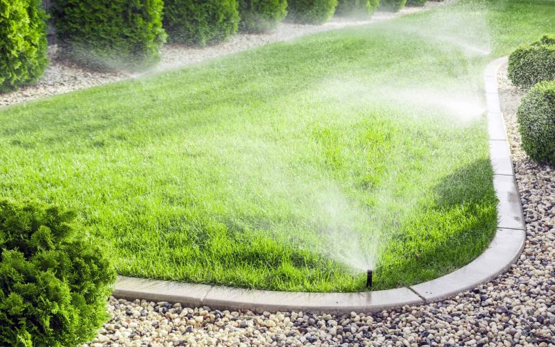 Lawn sprinkler watering a lush green lawn with garden edging.